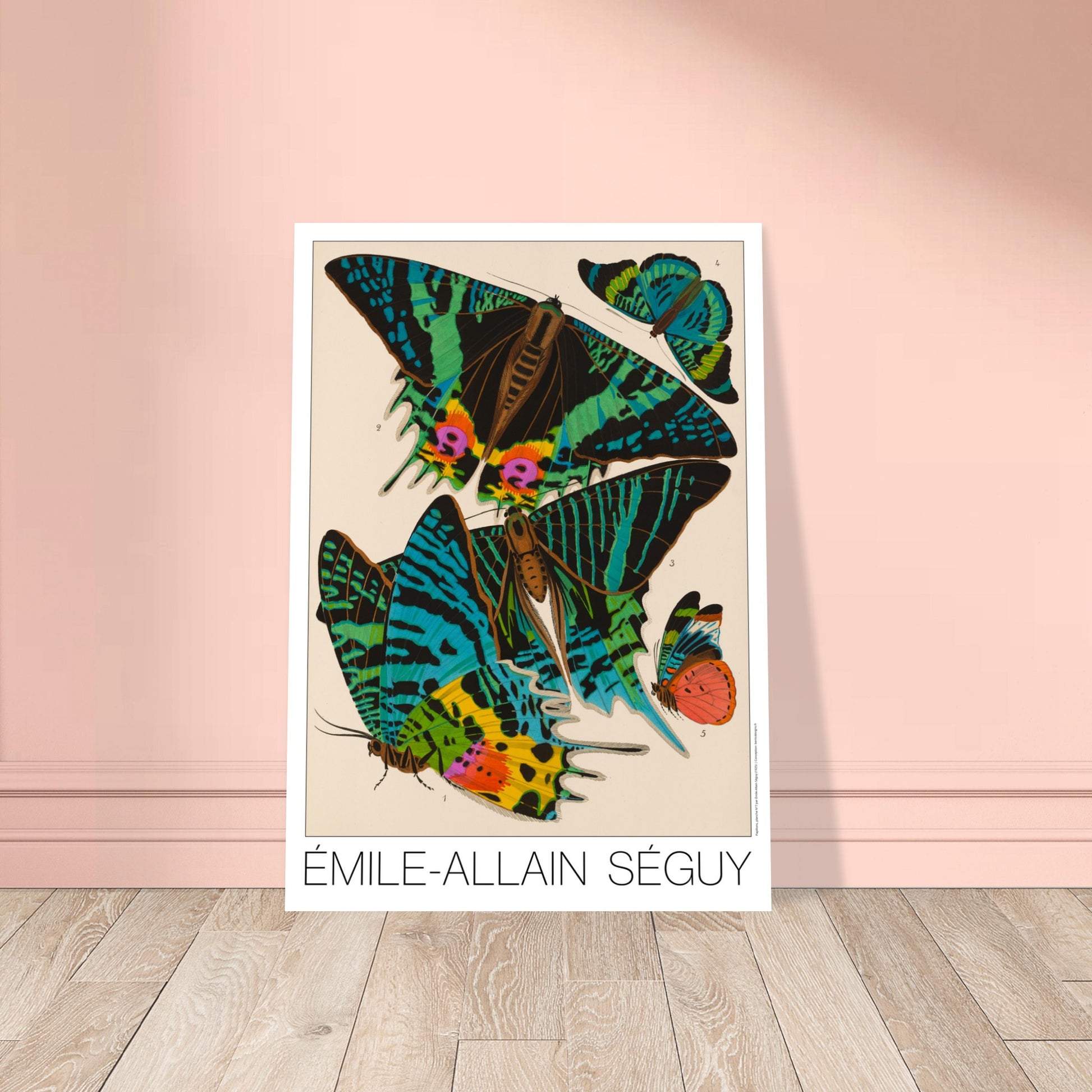 Planche de papillons Art déco par Émile-Allain Séguy. Cette affiche Art Déco présente une composition de cinq papillons aux ailes aux motifs complexes et aux couleurs vives. Image d'illustration 8