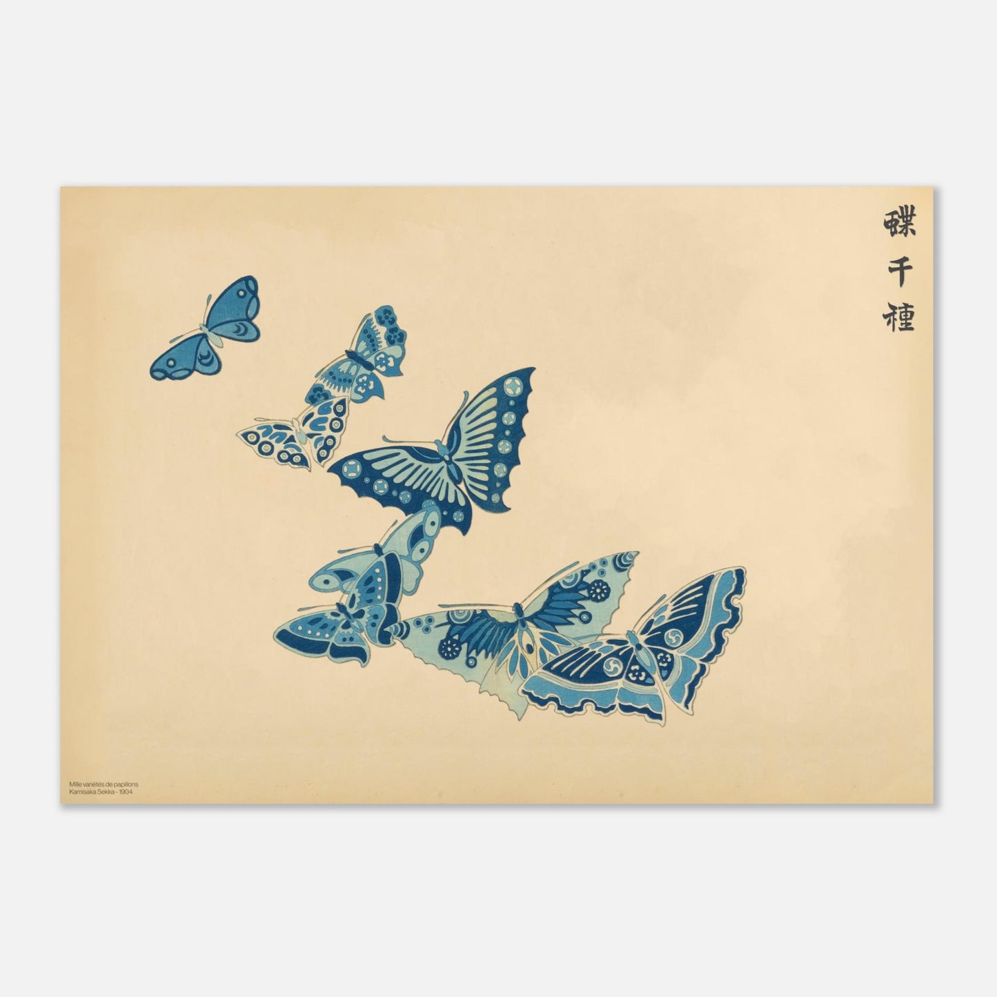 Planche de papillons bleus et blancs en volute - Kamisaka Sekka (42x59,4 cm (A2)). Gravure de la collection Mille variétés de papillons, représentant plusieurs papillons aux ailes bleues et blanches, disposés en forme de volute sur un fond beige.