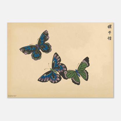 Planche de papillons bleus et verts — Chō senshu de Kamisaka Sekka (29,7x42 cm (A3)). Planche naturaliste de trois papillons aux couleurs bleutées et verdâtres, avec des motifs ressemblant à des vitraux, sur un fond beige.