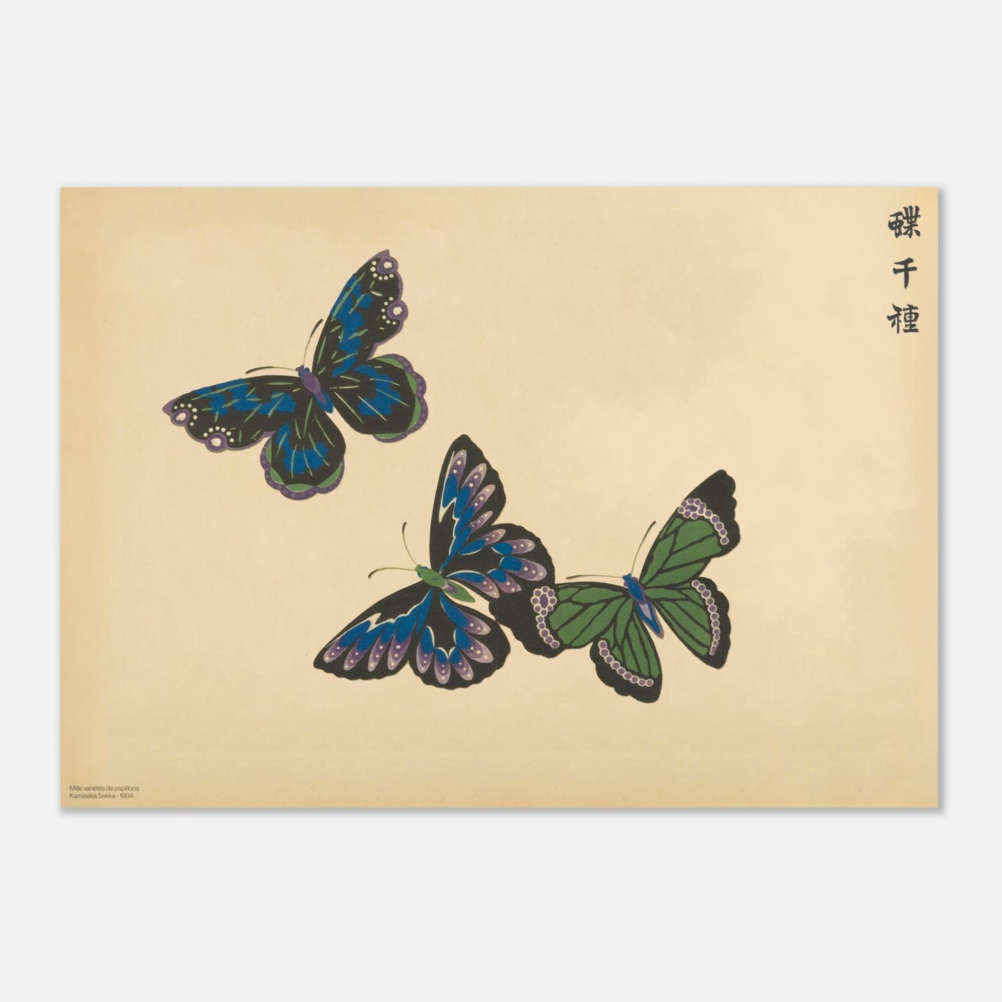 Planche de papillons bleus et verts — Chō senshu de Kamisaka Sekka (42x59,4 cm (A2)). Planche naturaliste de trois papillons aux couleurs bleutées et verdâtres, avec des motifs ressemblant à des vitraux, sur un fond beige.