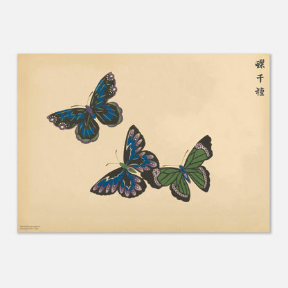 Planche de papillons bleus et verts — Chō senshu de Kamisaka Sekka (42x59,4 cm (A2)). Planche naturaliste de trois papillons aux couleurs bleutées et verdâtres, avec des motifs ressemblant à des vitraux, sur un fond beige.