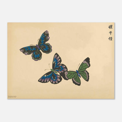 Planche de papillons bleus et verts — Chō senshu de Kamisaka Sekka (50x70 cm). Planche naturaliste de trois papillons aux couleurs bleutées et verdâtres, avec des motifs ressemblant à des vitraux, sur un fond beige.