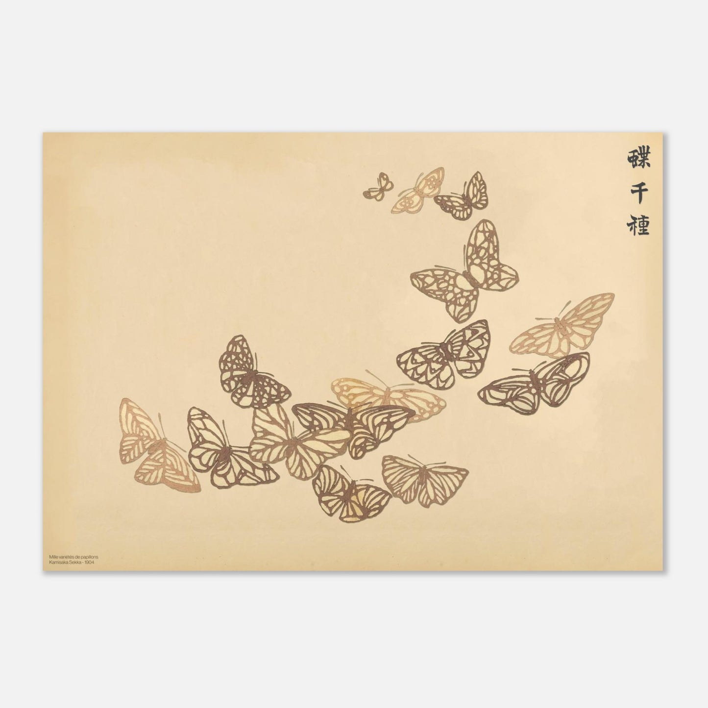 Planche de papillons bruns aux ailes nervurées, Kamisaka Sekka (42x59,4 cm (A2)). Reproduction d'une gravure japonaise de Kamisaka Sekka présentant une volée de papillons dans des tons de brun sur fond beige.