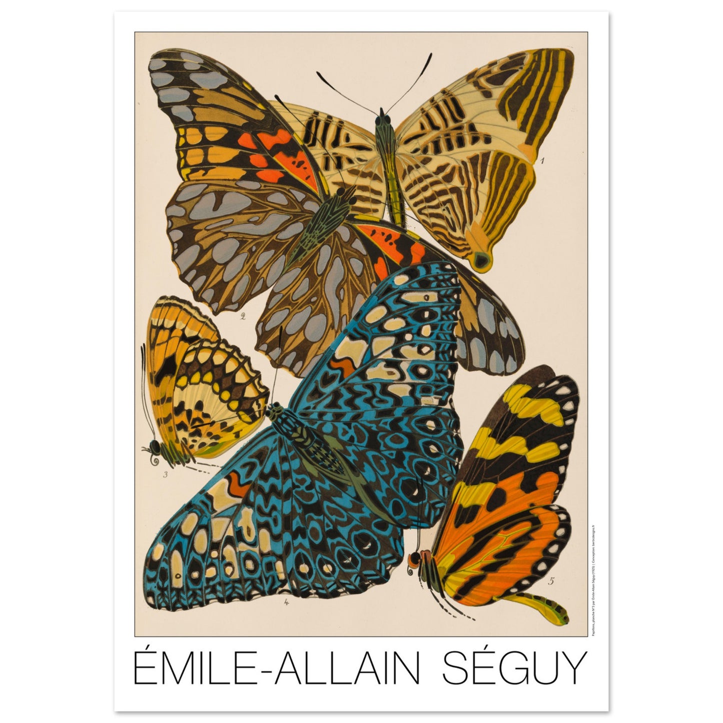Planche naturaliste de papillons exotiques par  mile-Allain S guy (59,4x84,1 cm (A1)). Illustration d'Émile-Allain Séguy montrant des papillons aux ailes vives, principalement bleues, jaunes et orangées.