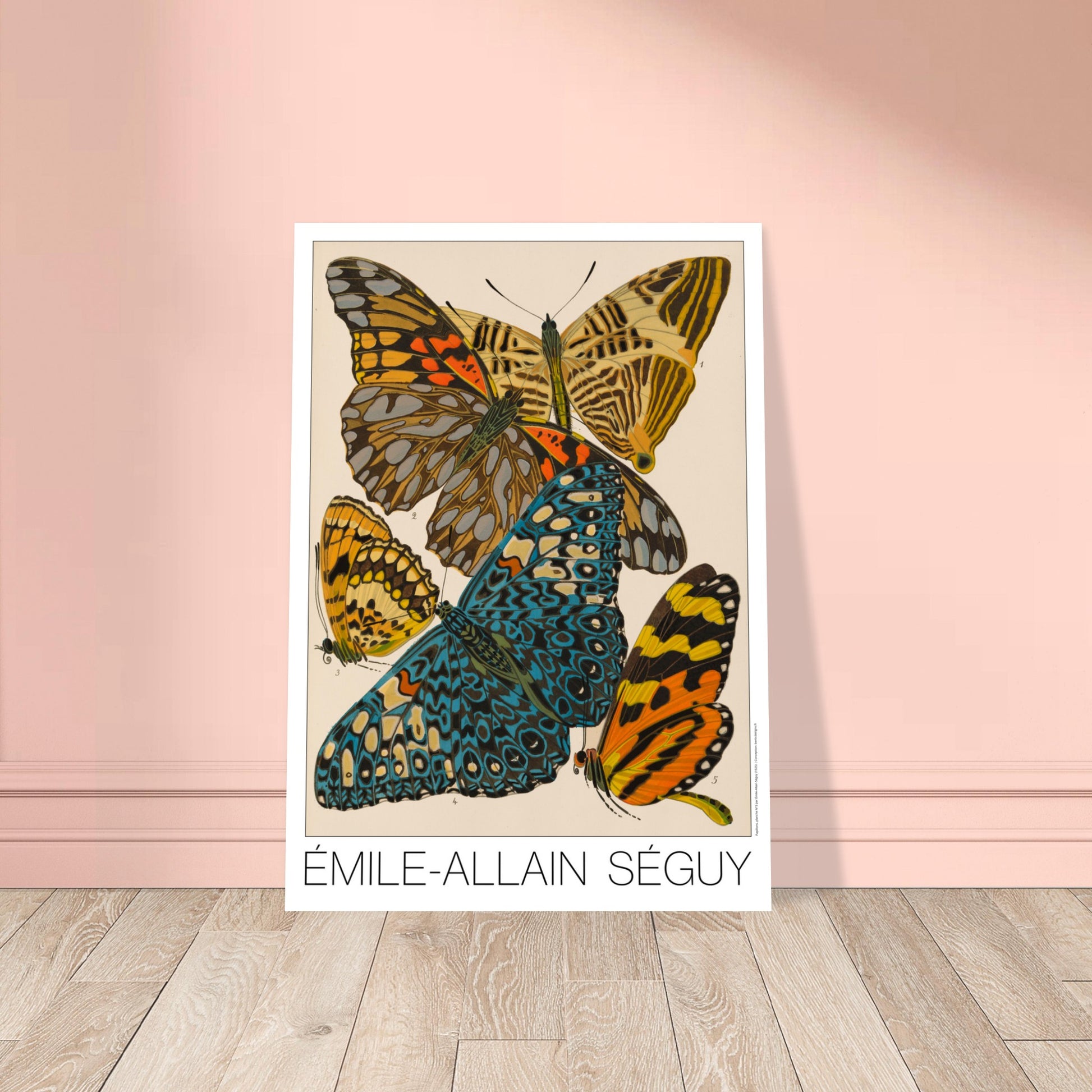 Planche naturaliste de papillons exotiques par  mile-Allain S guy. Illustration d'Émile-Allain Séguy montrant des papillons aux ailes vives, principalement bleues, jaunes et orangées. Image d'illustration 8