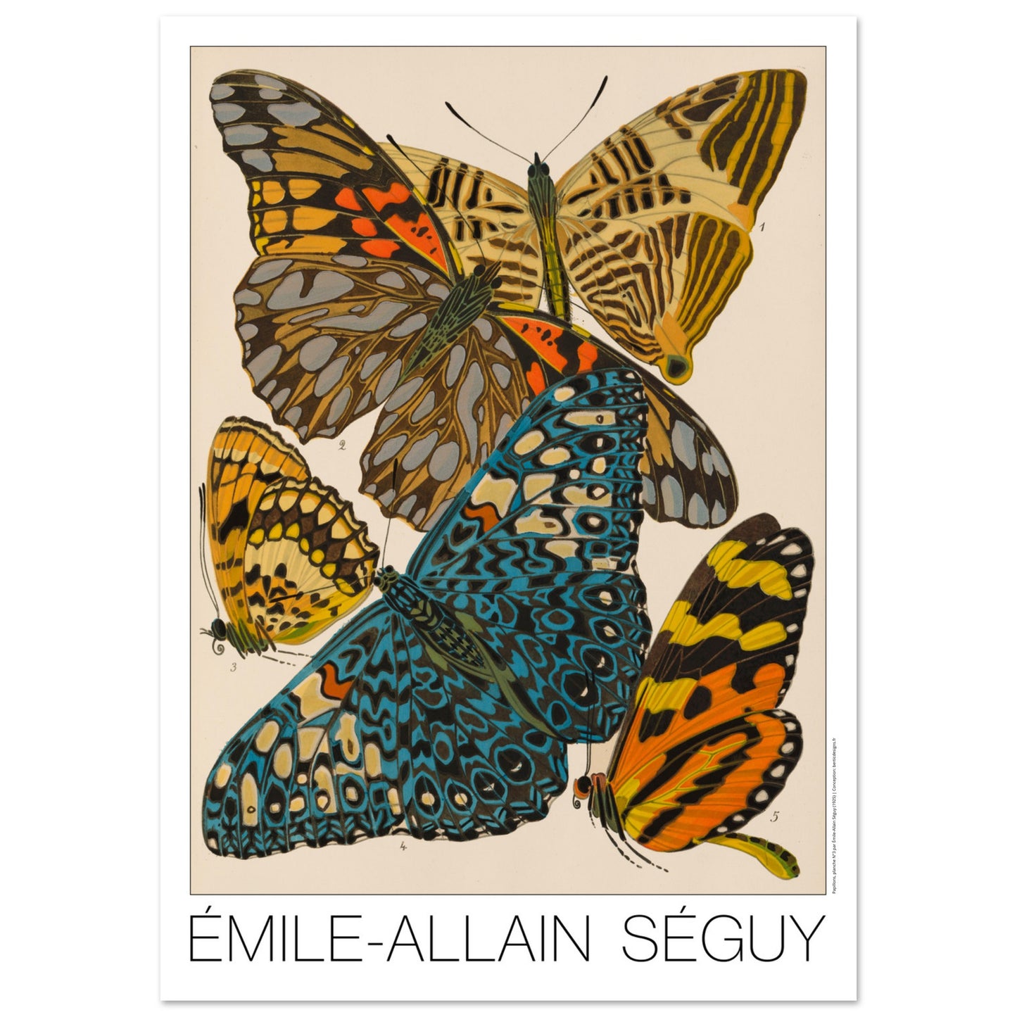 Planche naturaliste de papillons exotiques par  mile-Allain S guy (84,1x118,9 cm (A0)). Illustration d'Émile-Allain Séguy montrant des papillons aux ailes vives, principalement bleues, jaunes et orangées.