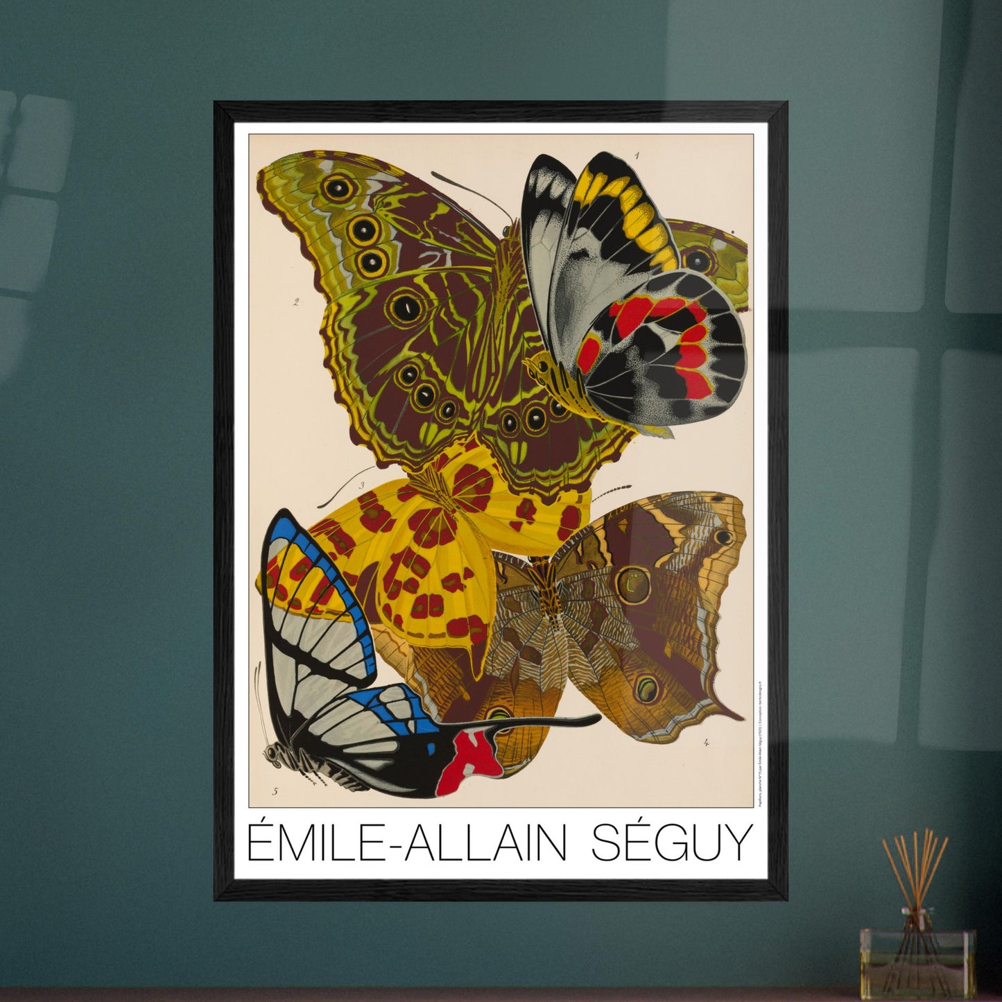 Planche de papillons (Delias, Morpho) - Émile-Allain Séguy. Gravure naturaliste d'Émile-Allain Séguy représentant plusieurs papillons aux ailes aux couleurs vives et aux motifs détaillés. Image d'illustration 7