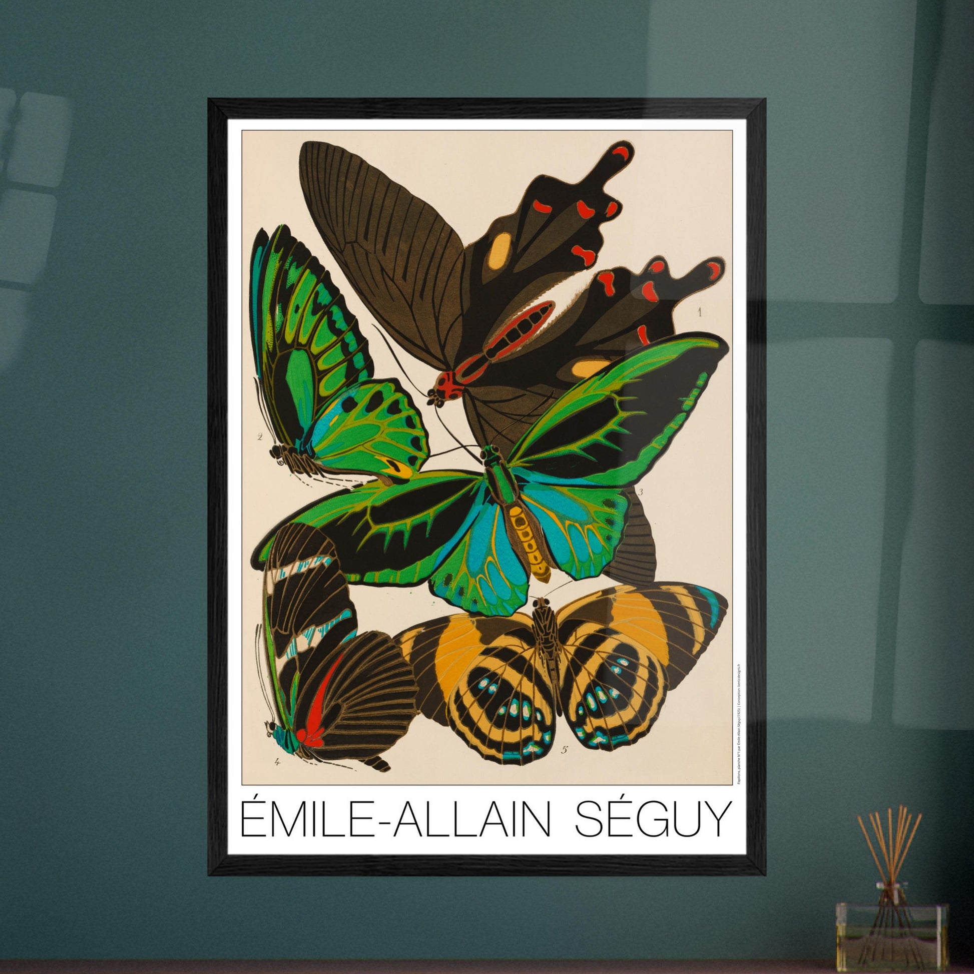Planche de papillons d'Émile-Allain Séguy : étude naturaliste. Illustration de l'Art déco par Émile-Allain Séguy présentant cinq papillons aux ailes colorées et détaillées, avec des numéros les identifiant. Image d'illustration 7