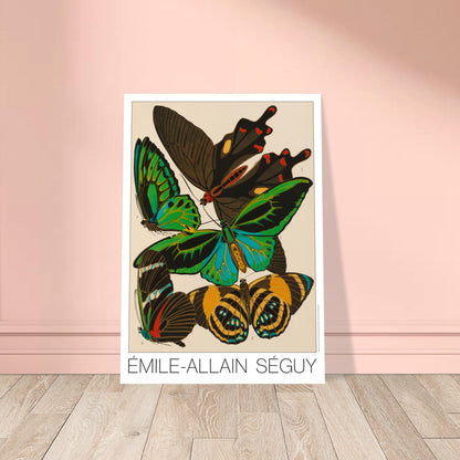 Planche de papillons d'Émile-Allain Séguy : étude naturaliste. Illustration de l'Art déco par Émile-Allain Séguy présentant cinq papillons aux ailes colorées et détaillées, avec des numéros les identifiant. Image d'illustration 8