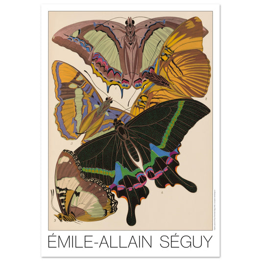 Planche de papillons exotiques (Eriboea, Papilio) par Émile-Allain Séguy (42x59,4 cm (A2)). Cette affiche Art Déco présente une composition de cinq papillons aux ailes aux motifs complexes et aux couleurs vives.