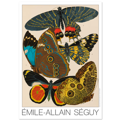 Planche de papillons exotiques (Armandia, Morpho) par Émile-Allain Séguy (29,7x42 cm (A3)). Cette affiche Art Déco présente une composition de cinq papillons aux ailes aux motifs complexes et aux couleurs vives.