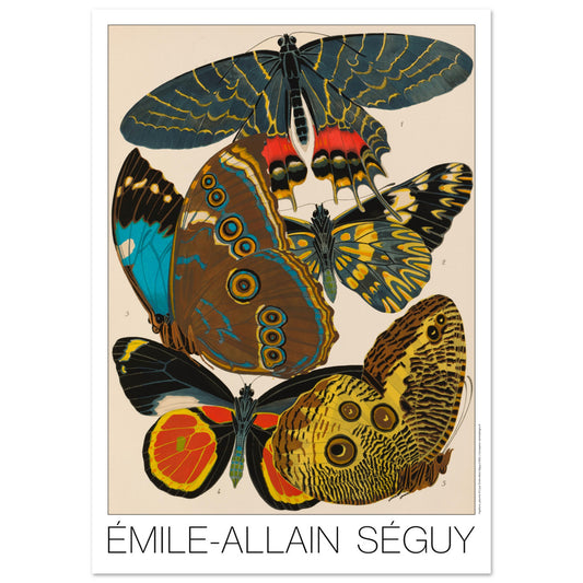 Planche de papillons exotiques (Armandia, Morpho) par Émile-Allain Séguy (42x59,4 cm (A2)). Cette affiche Art Déco présente une composition de cinq papillons aux ailes aux motifs complexes et aux couleurs vives.