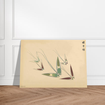 Planche de papillons géométriques vert, marron et argent - Sekka. Gravure japonaise de papillons aux formes géométriques et stylisées, aux couleurs vives de vert, marron et argenté, sur un fond crème, par Kamisaka Sekka. Image d'illustration 3