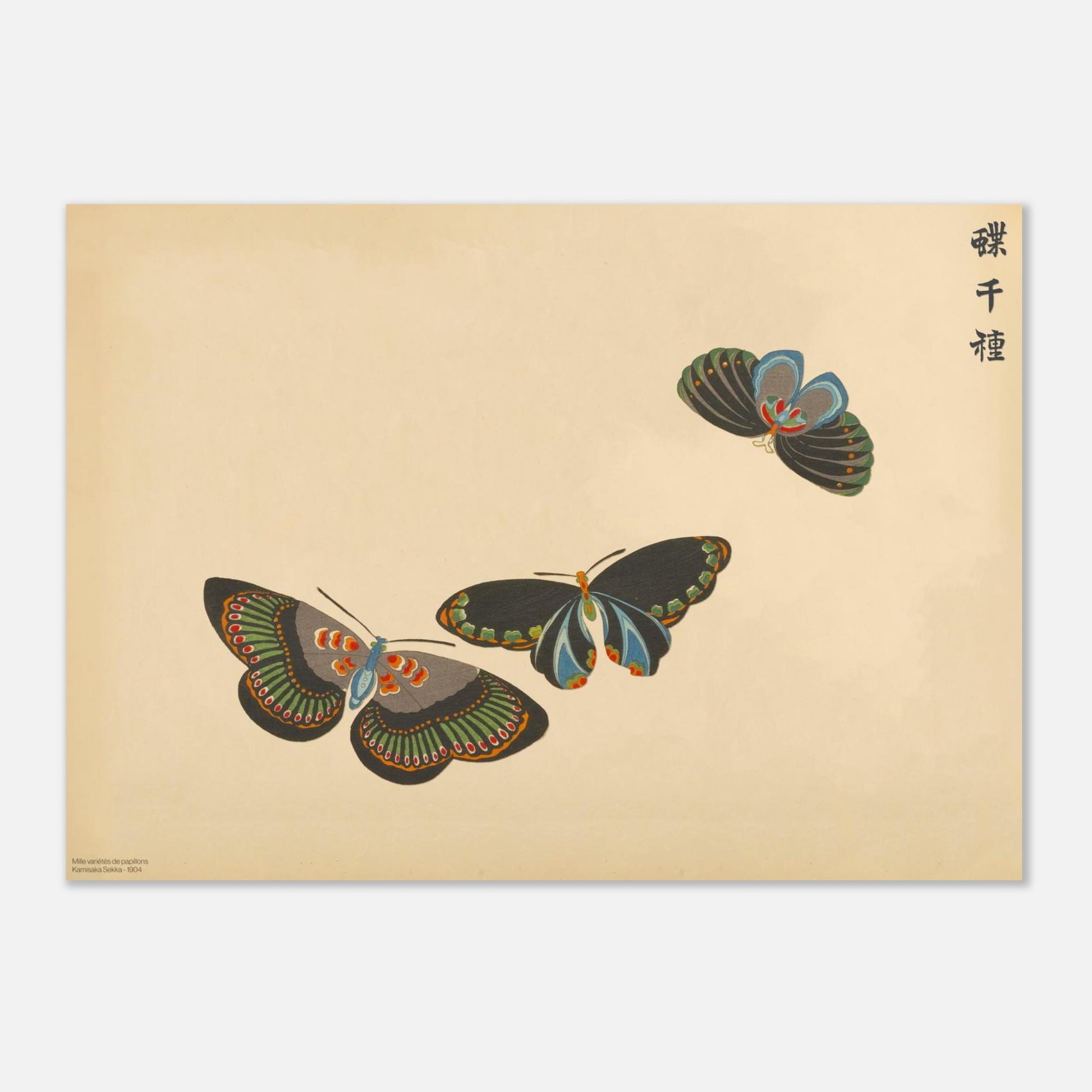 Planche de trois papillons noirs et verts - Chō senshu, Kamisaka Sekka (29,7x42 cm (A3)). Gravure de la collection Mille variétés de papillons, montrant trois papillons aux ailes noires ornées de motifs verts et orangés, disposés en triangle sur un fond beige.