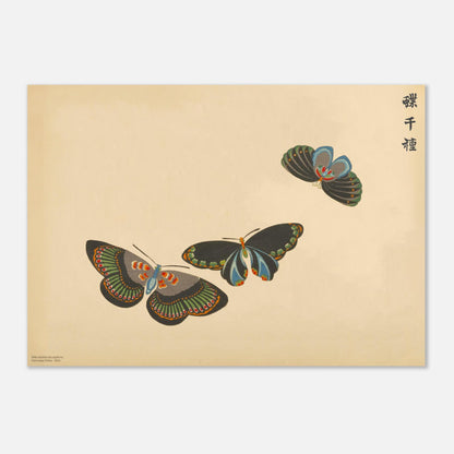 Planche de trois papillons noirs et verts - Chō senshu, Kamisaka Sekka (42x59,4 cm (A2)). Gravure de la collection Mille variétés de papillons, montrant trois papillons aux ailes noires ornées de motifs verts et orangés, disposés en triangle sur un fond beige.