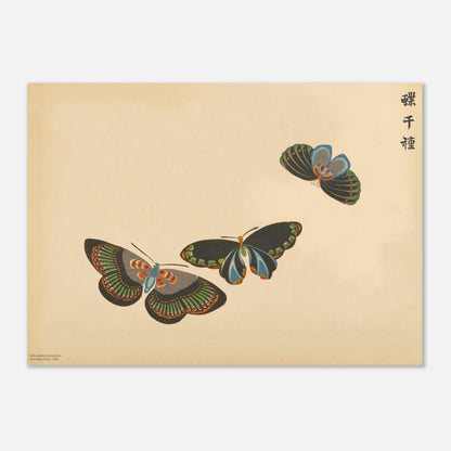 Planche de trois papillons noirs et verts - Chō senshu, Kamisaka Sekka (50x70 cm). Gravure de la collection Mille variétés de papillons, montrant trois papillons aux ailes noires ornées de motifs verts et orangés, disposés en triangle sur un fond beige.
