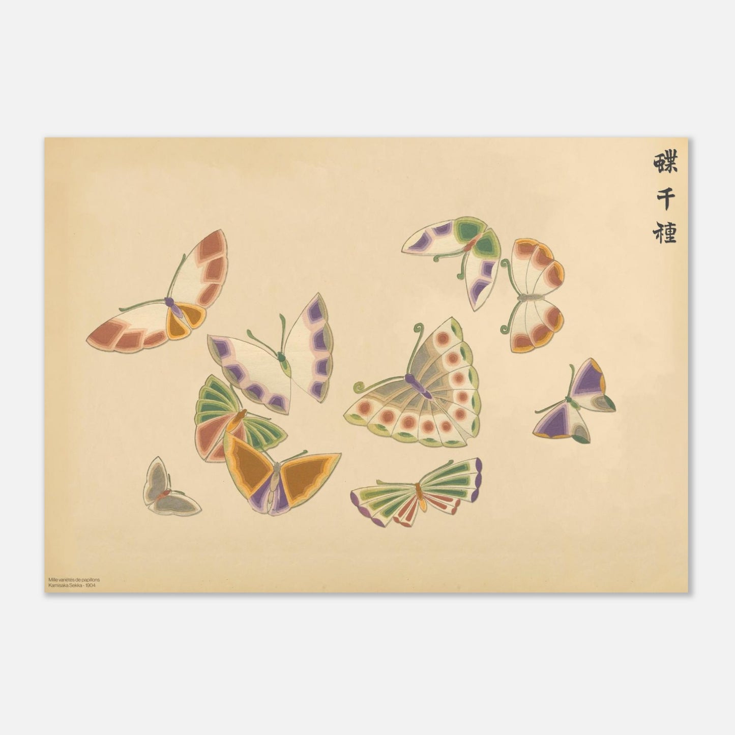 Planche de papillons stylisés aux tons pastels - Kamisaka Sekka (29,7x42 cm (A3)). Planche naturaliste de plusieurs papillons aux ailes stylisées aux teintes pastel, vert, violet, orange et blanc cassé, sur un fond beige.
