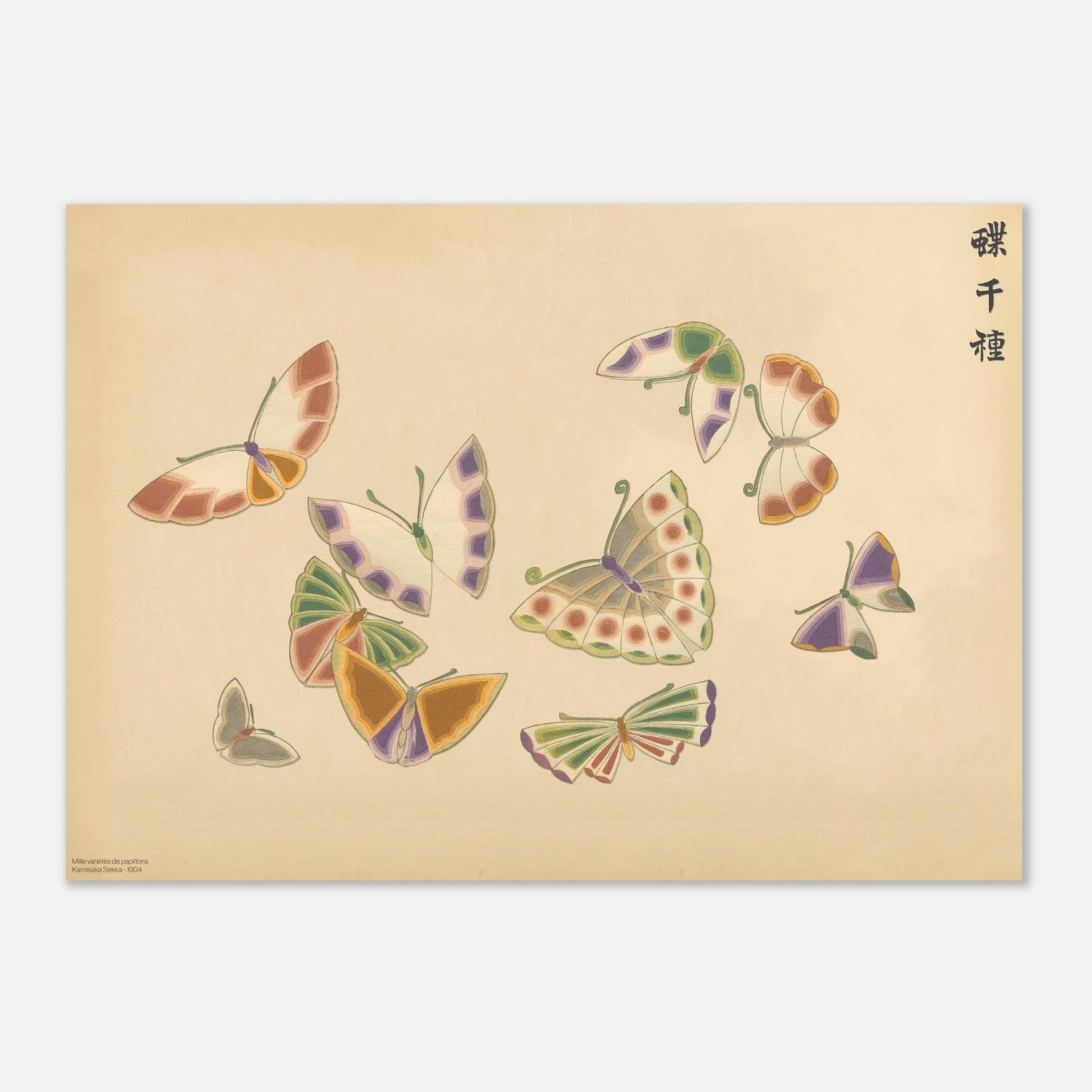 Planche de papillons stylisés aux tons pastels - Kamisaka Sekka (29,7x42 cm (A3)). Planche naturaliste de plusieurs papillons aux ailes stylisées aux teintes pastel, vert, violet, orange et blanc cassé, sur un fond beige.