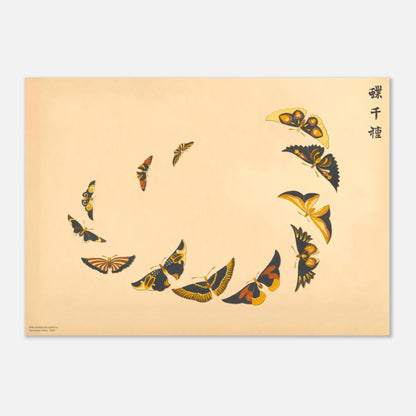 Planche de papillons en spirale jaune et orange de Sekka (42x59,4 cm (A2)). Estampe de Kamisaka Sekka représentant une collection de papillons aux ailes jaunes, oranges et noires disposés en spirale sur un fond beige.