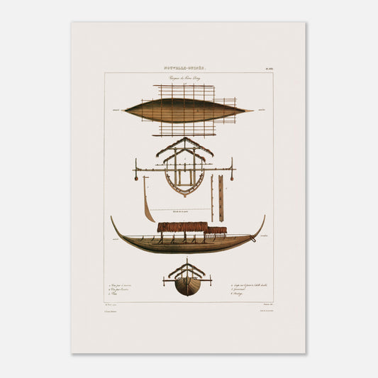 Planche : Grande pirogue Corocore de Nouvelle-Guinée (Astrolabe) (42x59,4 cm (A2)). Gravure ancienne représentant des pirogues de Nouvelle-Guinée, avec des vues en plan, coupe et élévation, détaillant la structure et les0paddles.