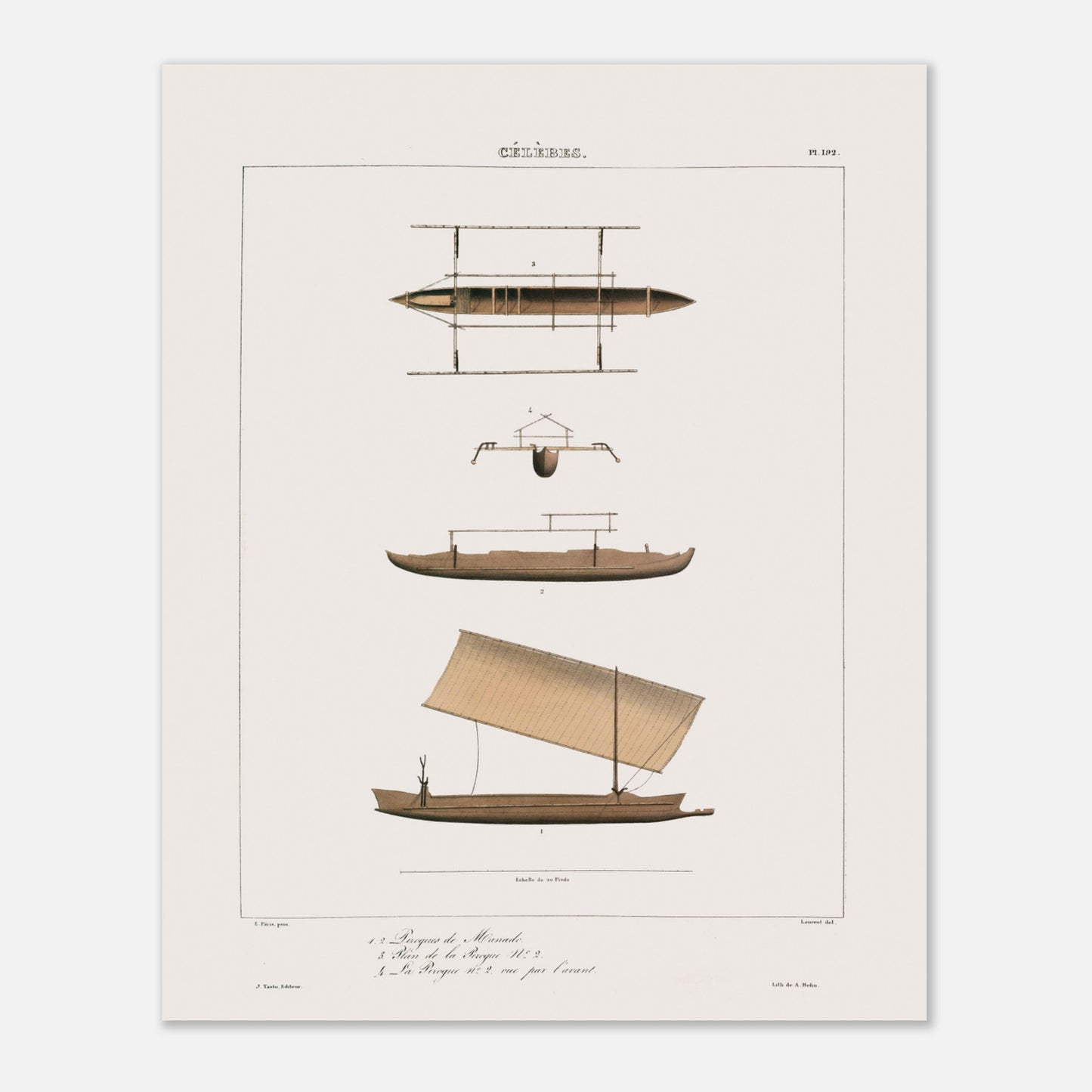 Planche ancienne des pirogues de Manado aux Célèbes (Astrolabe) (40x50 cm). Gravure ancienne de pirogues de Manado aux Célèbes, montrant différentes vues et détails, dont une pirogue à voile.