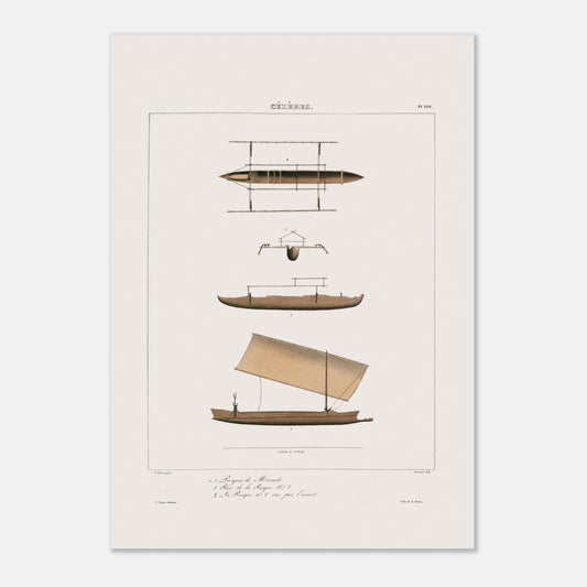 Planche ancienne des pirogues de Manado aux Célèbes (Astrolabe) (42x59,4 cm (A2)). Gravure ancienne de pirogues de Manado aux Célèbes, montrant différentes vues et détails, dont une pirogue à voile.