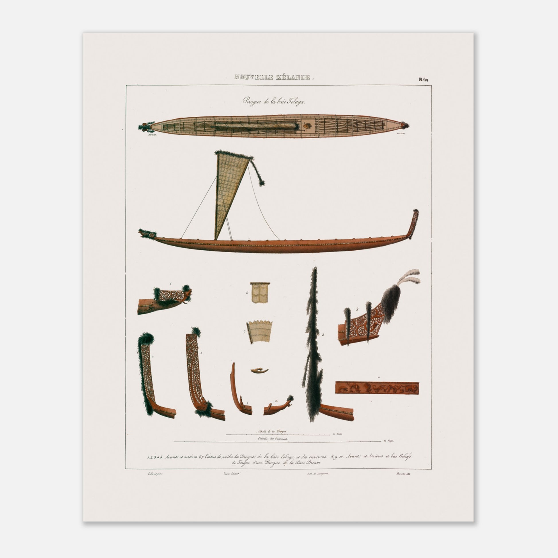 Planche de pirogues des baies de Tolaga et de Bream - Nouvelle-Zélande - Astrolabe (40x50 cm). Gravure illustrant des pirogues des baies de Tolaga et de Bream en Nouvelle-Zélande, montrant des détails de proue, de poupe, et de voiles.