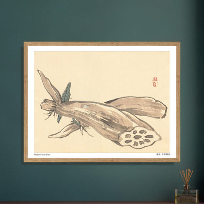 Planche Naturaliste de Racine de Lotus (Renkon) par Kōno Bairei. Illustration japonaise ancienne montrant une racine de lotus coupée, révélant sa structure alvéolée, avec des feuilles au premier plan. Image d'illustration 5