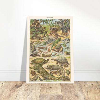 Planche Reptiles et amphibiens – Illustration ancienne Larousse 1910. Planche de l'Encyclopédie Larousse de 1910 titrée "Reptiles", illustrant une diversité de reptiles et d'amphibiens tels que des serpents, lézards, tortues et grenouilles, avec leurs noms. Image d'illustration 4