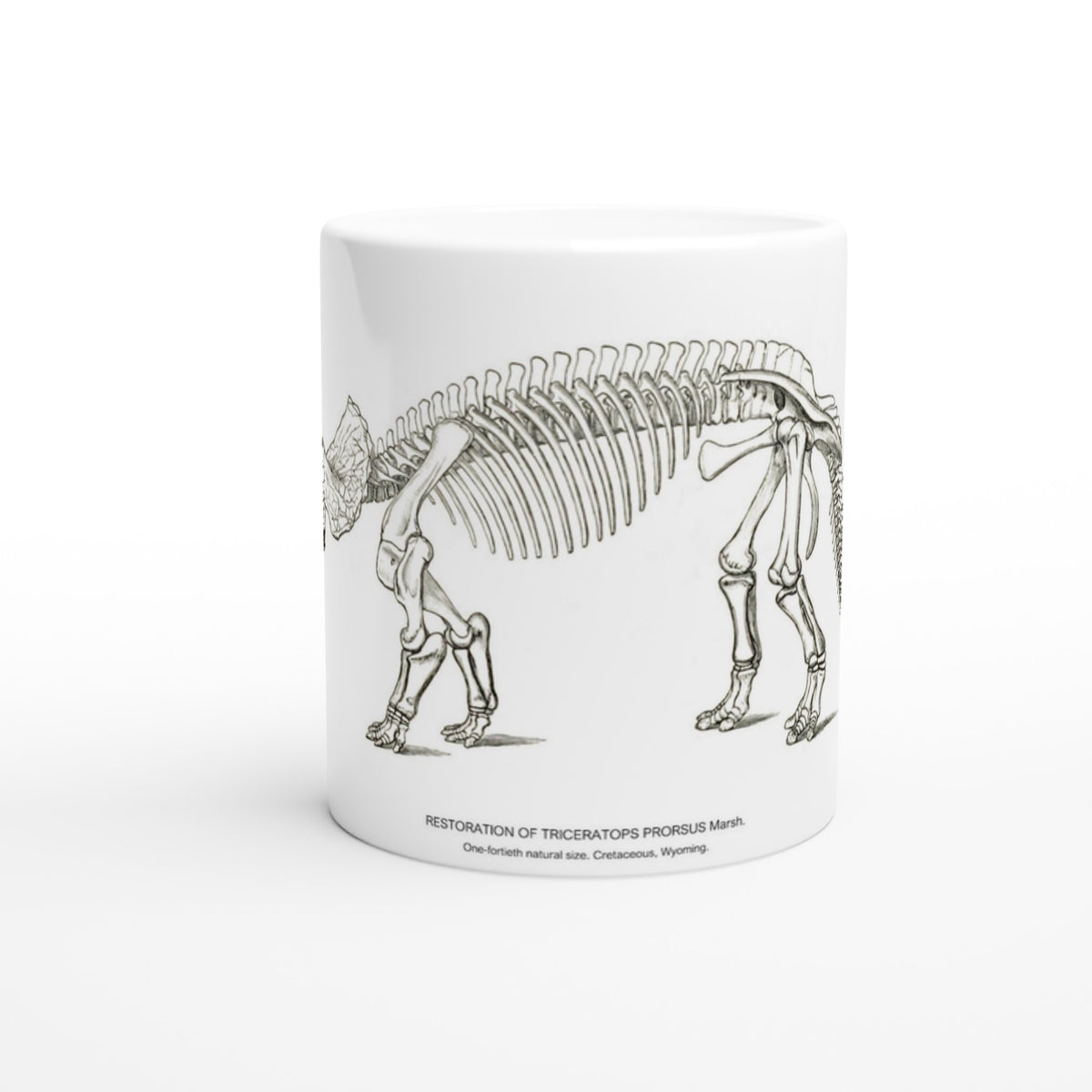 Planche scientifique ancienne du squelette de Triceratops – US Geological Survey. Mug en céramique blanche illustré d'une gravure scientifique représentant le squelette d'un Triceratops avec les mentions US Geological Survey.