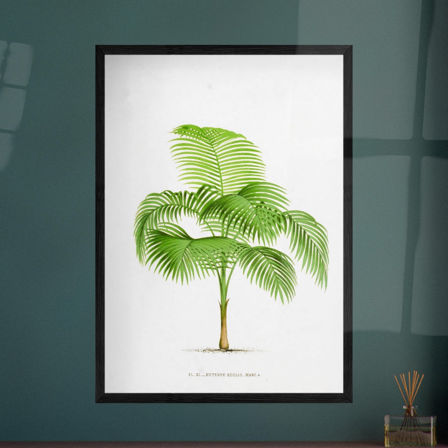Illustration ancienne du palmier Euterpe Edulis. Illustration botanique de l'Euterpe Edulis, un palmier aux feuilles vertes pennées, émanant d'un tronc fin et vert. Image d'illustration 8