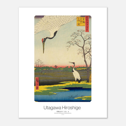 Impression ukiyo-e : Grues de Mandchourie à Minowa par Hiroshige (40x50 cm). Estampe ukiyo-e par Utagawa Hiroshige montrant deux grues dans un paysage de marais au coucher du soleil, avec un arbre en fleurs et des champs.