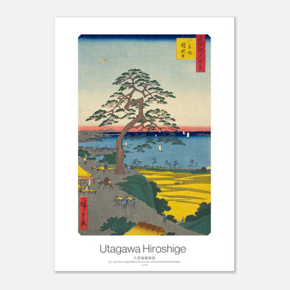 Planche ukiyo-e : Le pin pour suspendre une armure, Hiroshige (21x29,7 cm (A4)). Estampe japonaise représentant un grand pin au sommet d'une colline surplombant une baie avec des bateaux, et un paysage jaune doré au premier plan.