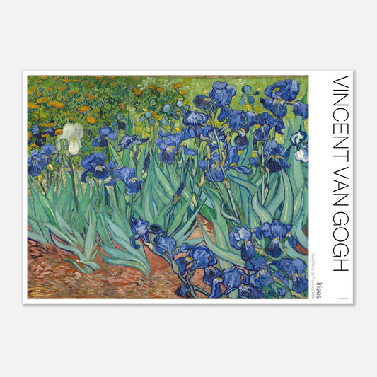 Illustration des Gemäldes Iris von Vincent van Gogh (29,7x42 cm (A3)). Gemälde von Vincent van Gogh, das ein Beet aus blauen und weißen Iris zwischen gelben Blumen darstellt.