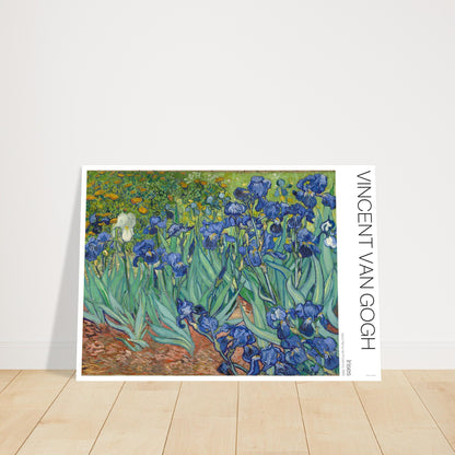 Illustration des Gemäldes Iris von Vincent van Gogh. Gemälde von Vincent van Gogh, das ein Beet aus blauen und weißen Iris zwischen gelben Blumen darstellt.