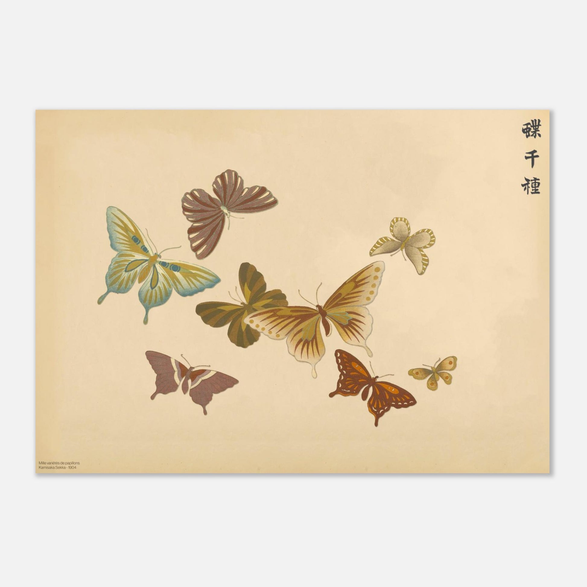 Reproduction de sept papillons aux tons chauds par Sekka (29,7x42 cm (A3)). Planche naturaliste de sept papillons aux tons chauds comme le marron, le jaune et le rouge, sur un fond beige.