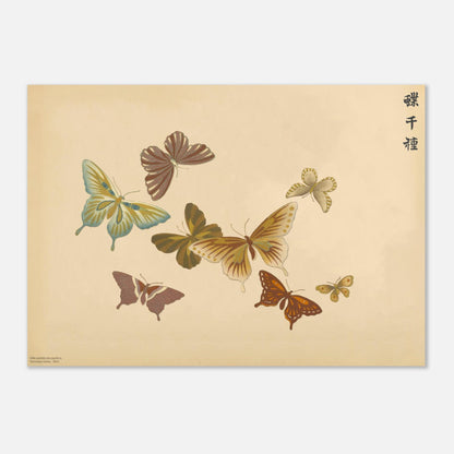 Reproduction de sept papillons aux tons chauds par Sekka (29,7x42 cm (A3)). Planche naturaliste de sept papillons aux tons chauds comme le marron, le jaune et le rouge, sur un fond beige.