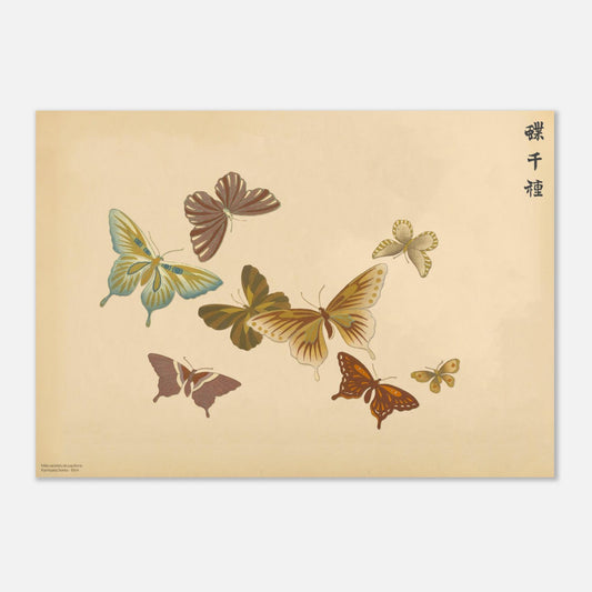 Reproduction de sept papillons aux tons chauds par Sekka (42x59,4 cm (A2)). Planche naturaliste de sept papillons aux tons chauds comme le marron, le jaune et le rouge, sur un fond beige.