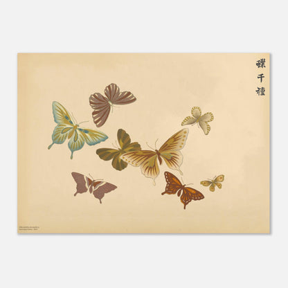 Reproduction de sept papillons aux tons chauds par Sekka (50x70 cm). Planche naturaliste de sept papillons aux tons chauds comme le marron, le jaune et le rouge, sur un fond beige.
