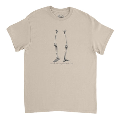 T-shirt anatomie membres inférieurs - William Cheselden (Sable). T-shirt noir avec une illustration des os des membres inférieurs d'un squelette humain en blanc.