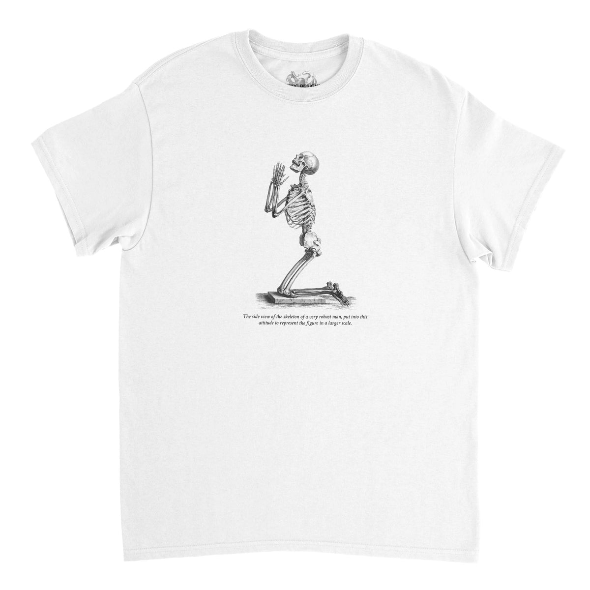Kneeling Male Skeleton Anatomy T-shirt - Cheselden (White). Burgundy t-shirt featuring a white line drawing of a male skeleton kneeling in prayer.