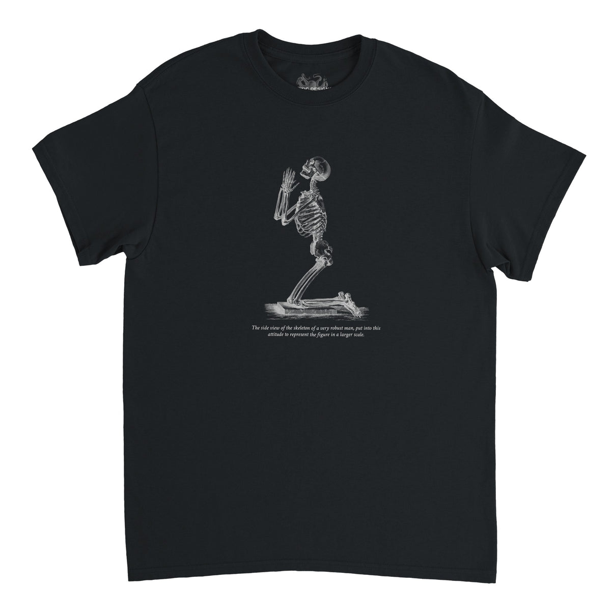 Kneeling Male Skeleton Anatomy T-shirt - Cheselden (Black). Burgundy t-shirt featuring a white line drawing of a male skeleton kneeling in prayer.