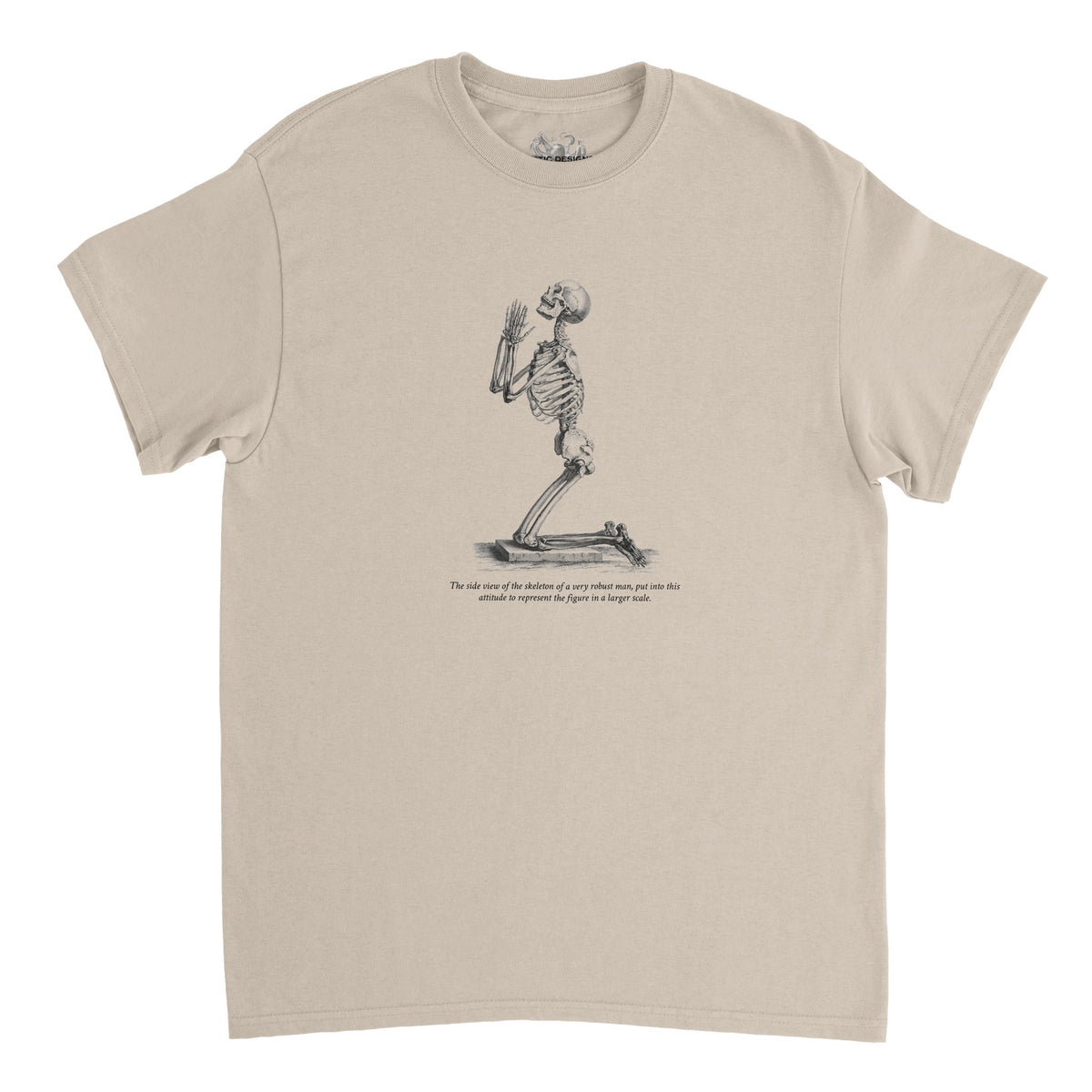 Kneeling Male Skeleton Anatomy T-shirt - Cheselden (Sand). Burgundy t-shirt featuring a white line drawing of a male skeleton kneeling in prayer.