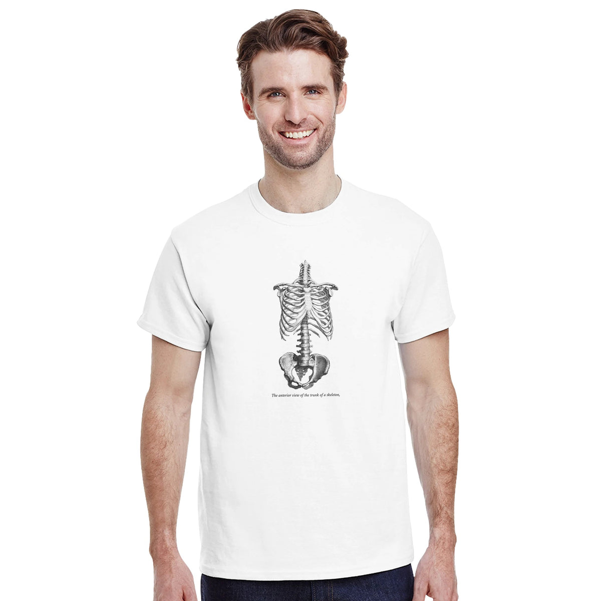 Torso and Human Skeleton Anatomy T-shirt - Cheselden. White t-shirt with a black and white front illustration of the torso of a human skeleton.