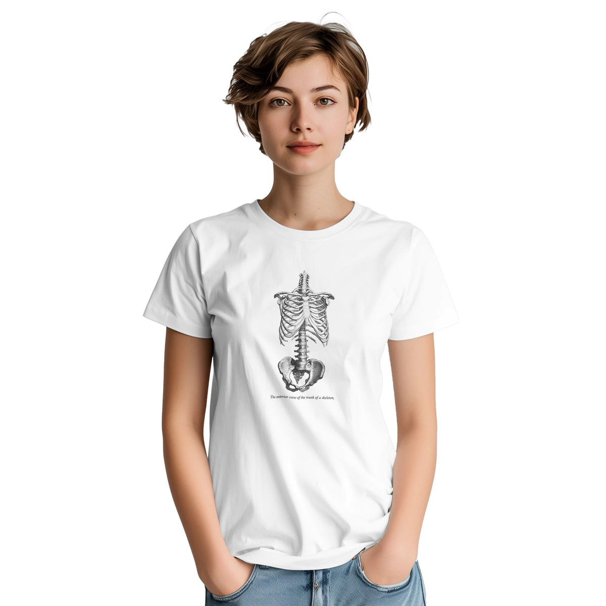 Torso and Human Skeleton Anatomy T-shirt - Cheselden. White t-shirt with a black and white front illustration of the torso of a human skeleton.