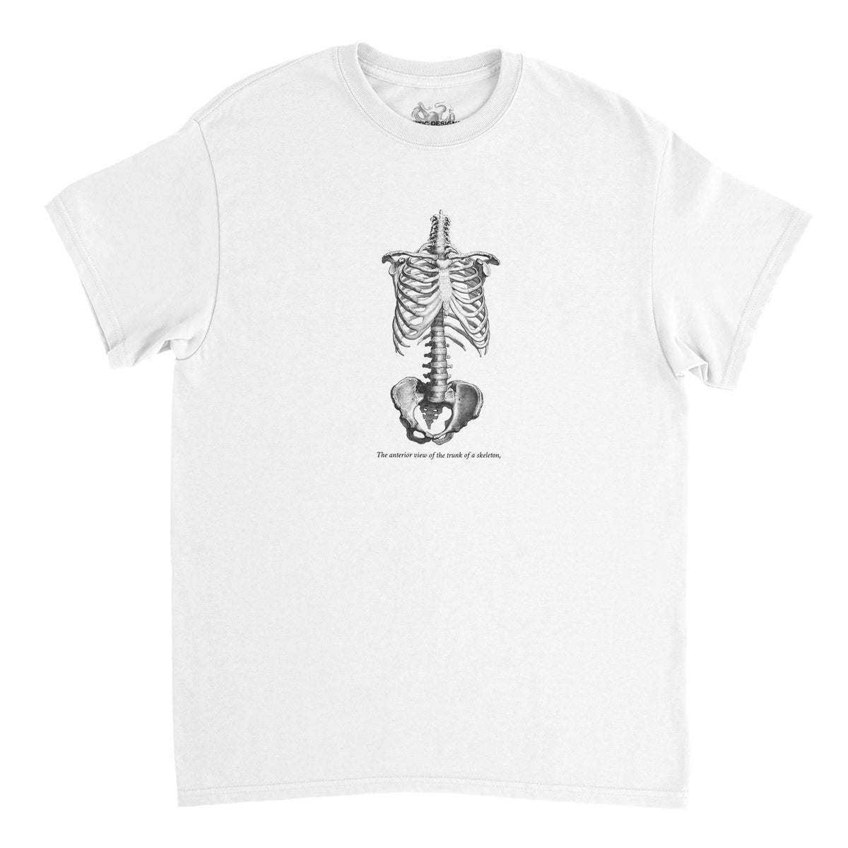Torso and Human Skeleton Anatomy T-shirt - Cheselden (White). White t-shirt with a black and white front illustration of the torso of a human skeleton.