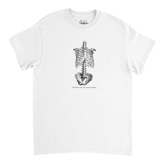 Torso and Human Skeleton Anatomy T-shirt - Cheselden (White). White t-shirt with a black and white front illustration of the torso of a human skeleton.