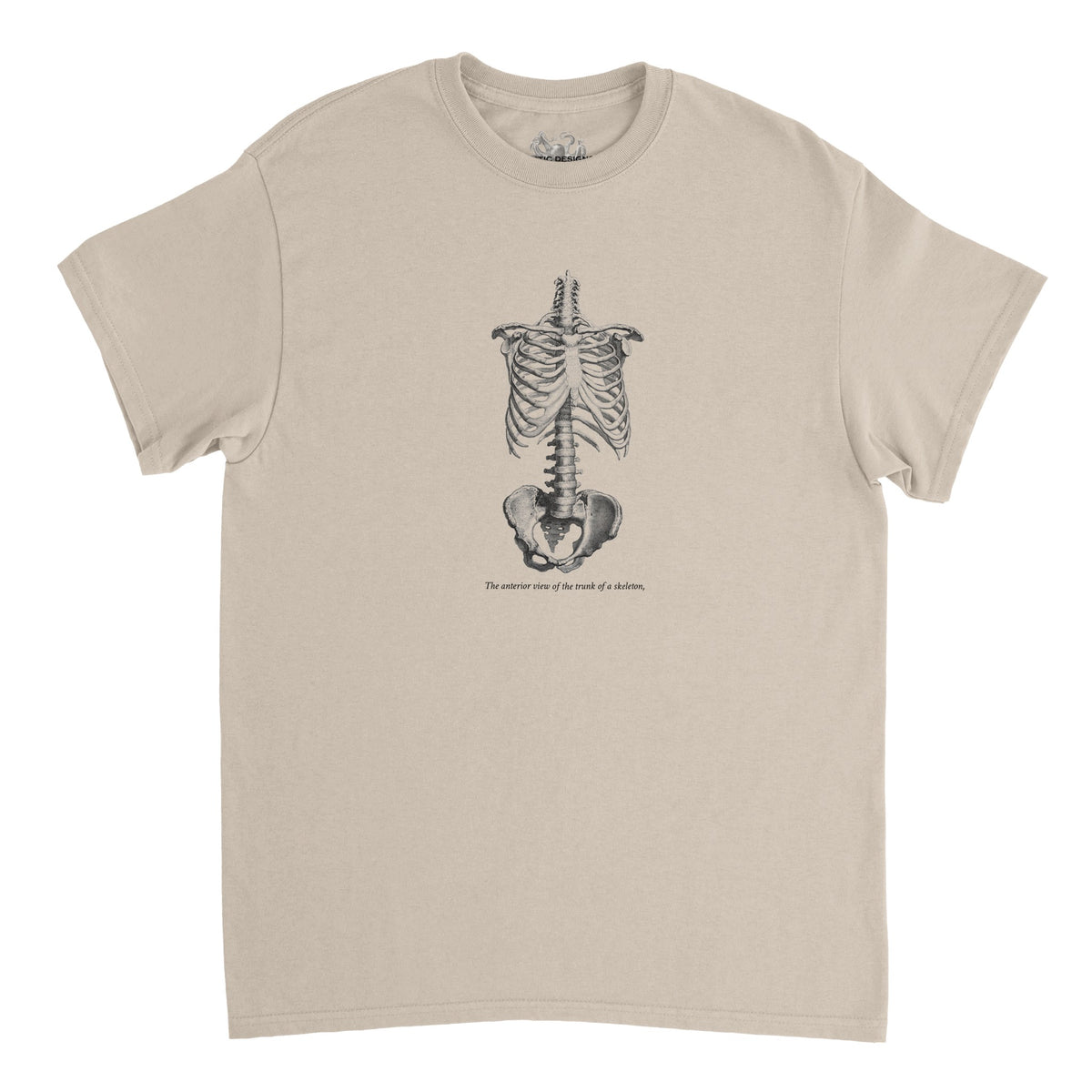 Torso and Human Skeleton Anatomy T-shirt - Cheselden (Sand). White t-shirt with a black and white front illustration of the torso of a human skeleton.