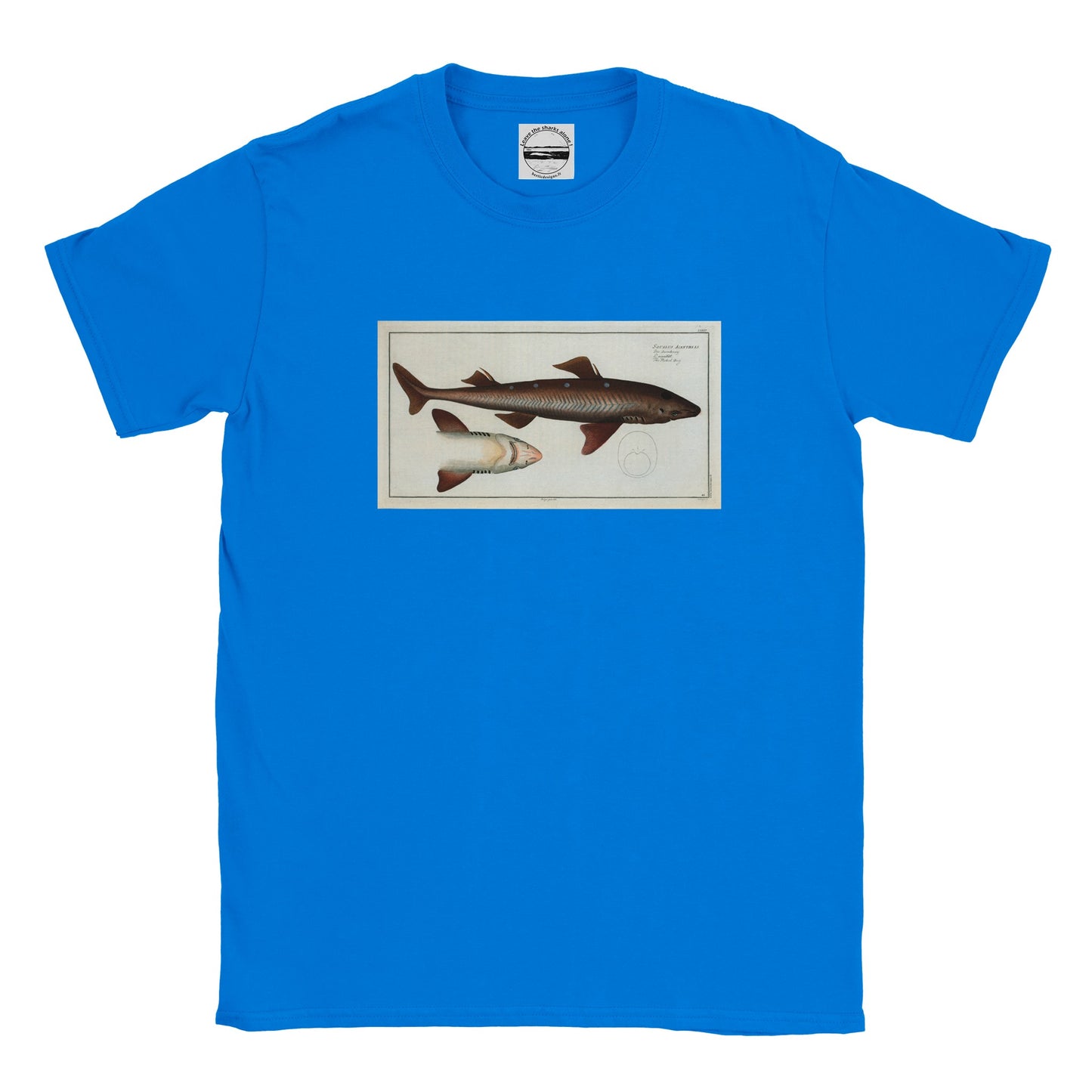 T-Shirt Requin «L'Aiguillât» - Squalus Acanthias - Couleur Bleu roi