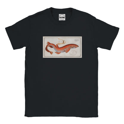 T-Shirt Requin «La Roussette» - Squalus Catulus - Couleur Noir
